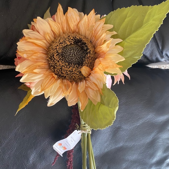 NWT Pier 1 Dahlia & Amaranthus 2 pack Bundle - Picture 4 of 8